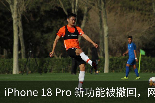 iPhone 18 Pro 新功能被撤回，网友炸了！